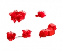 Игривый подарочный набор для соблазнения Bijoux Indiscrets