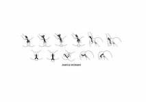 Универсальный вибромассажер для обоих партнеров Satisfyer Partner Multifun 3 (15 режимов, 3 мотора)