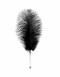 Черное страусиное перо для ласк TOYFA THEATRE0