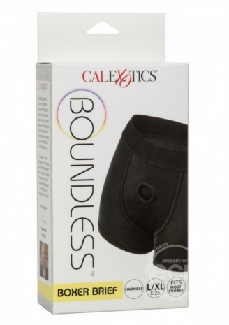 Трусы боксеры BOUNDLESS BOXER BRIEF HARNESS SM