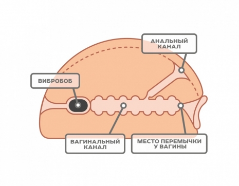 Полноразмерная попка с двумя отверстиями