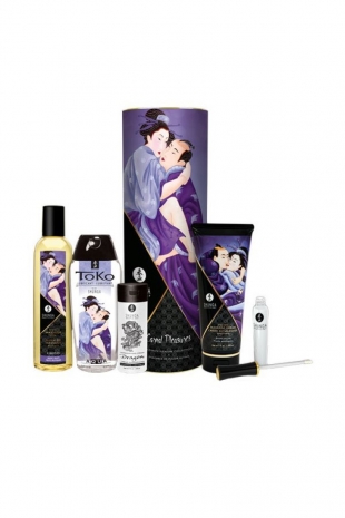 Подарочный набор Shunga Carnal Pleasures