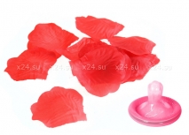 Красные лепестки роз Bed of Roses